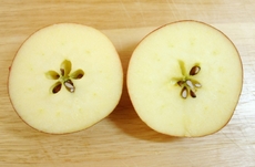 Apfel-halbiert-2.jpg